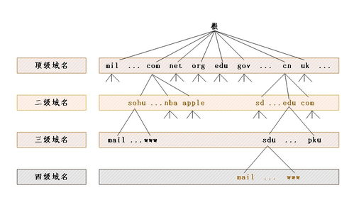 計算機網絡技術發展新篇章 軟件與網絡應用技術的融合開發